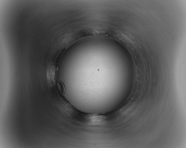 X0000092220336200709141049