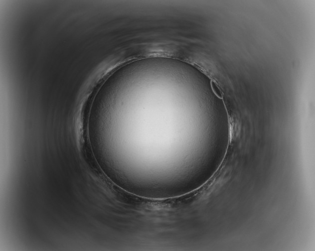 X0000092220339200709141048