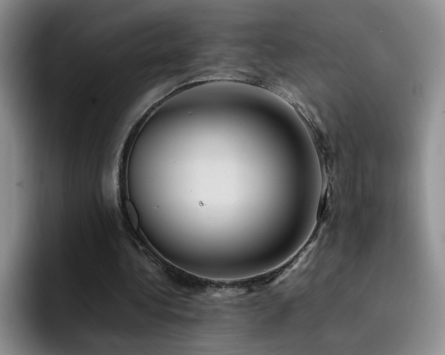 X0000092220340200709141048