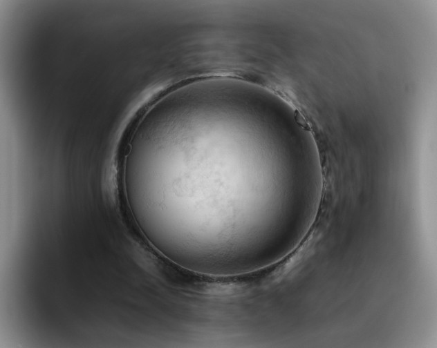 X0000092220342200709141048