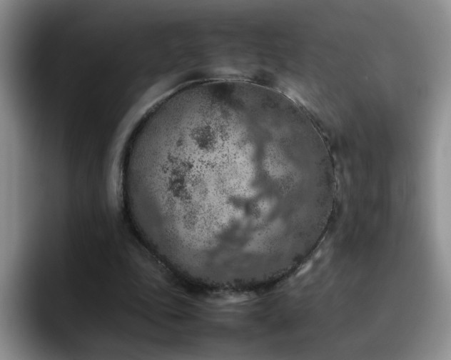 X0000092220343200709141048