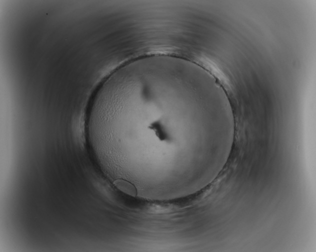 X0000092220346200709141048
