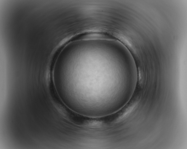 X0000092220348200709141048