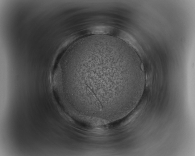 X0000092220349200709141048