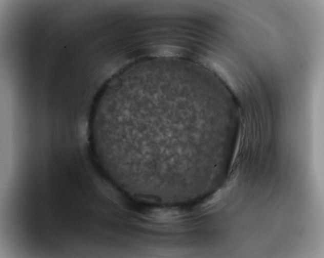 X0000092220351200709141049