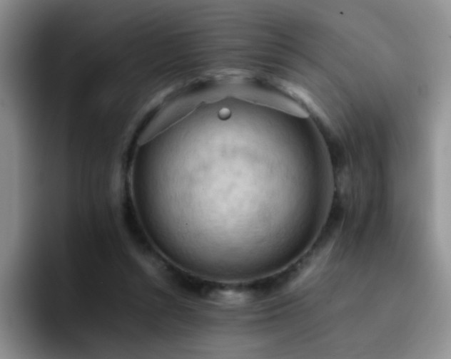 X0000092220352200709141049