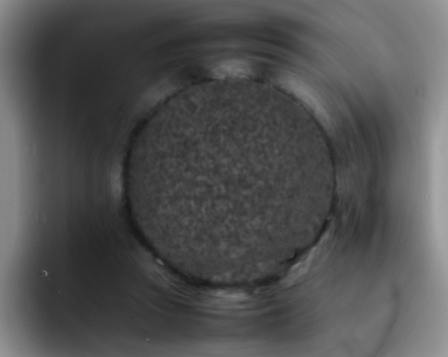 X0000092220353200709141049