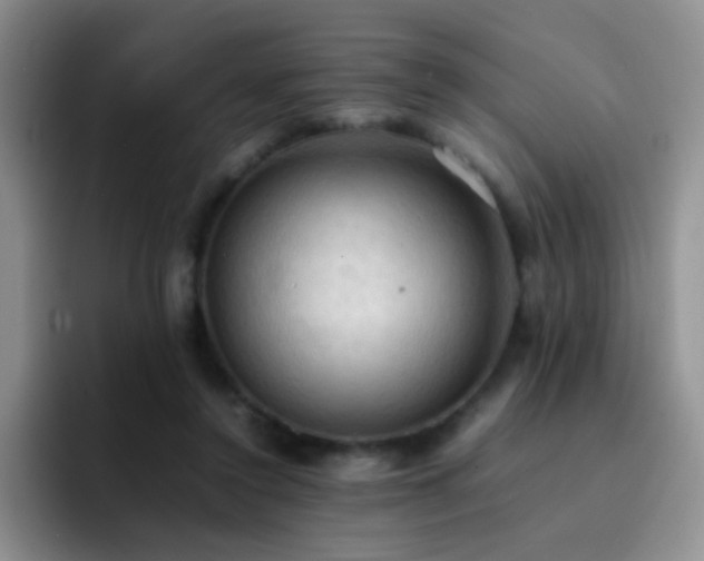 X0000092220356200709141049