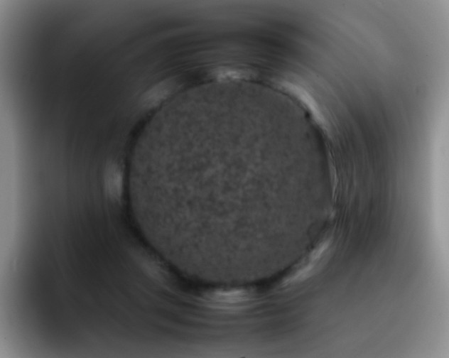 X0000092220357200709141049