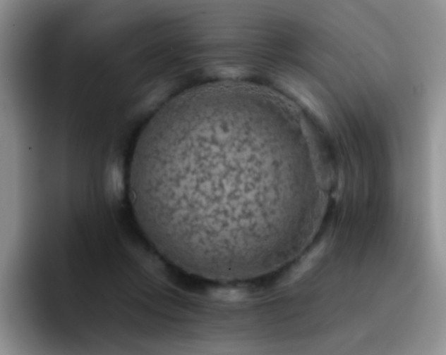 X0000092220358200709141049