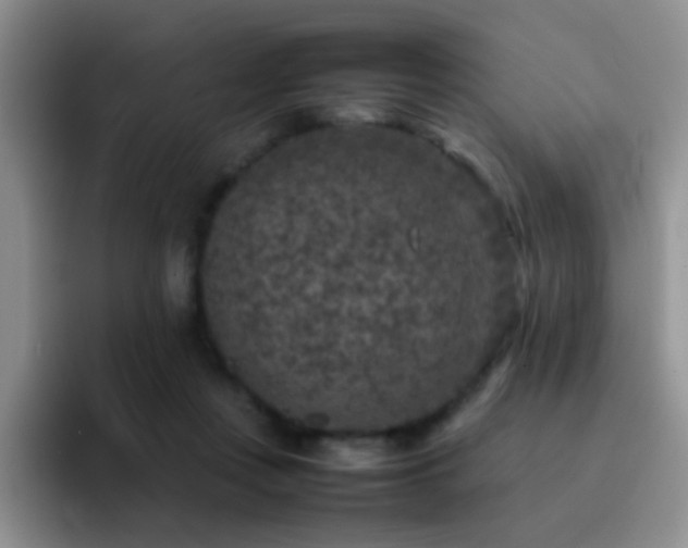 X0000092220359200709141049