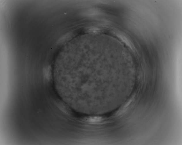 X0000092220361200709141049