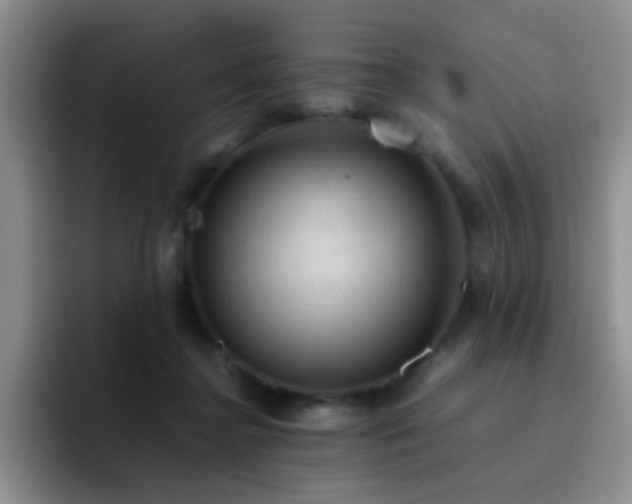 X0000092220364200709141049