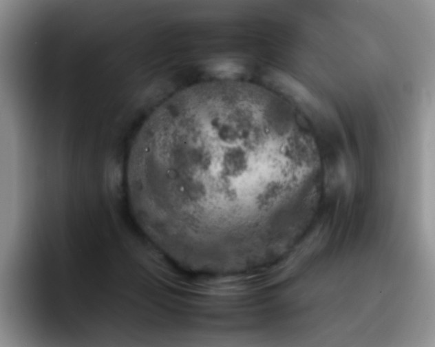 X0000092220365200709141049
