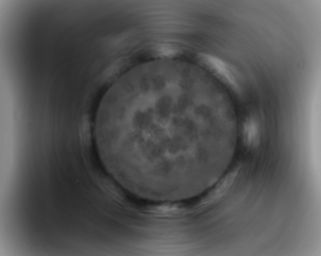 X0000092220366200709141049