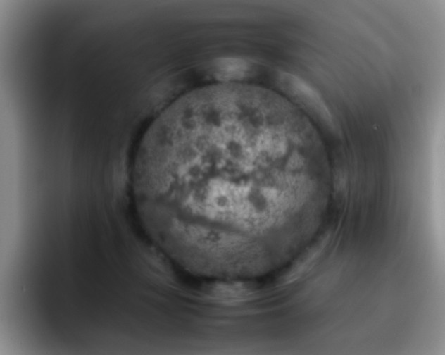 X0000092220367200709141049