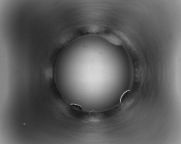 X0000092220368200709141049