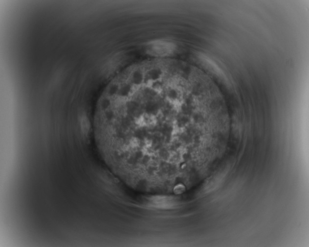 X0000092220371200709141049