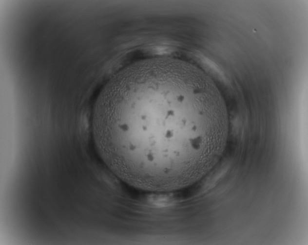 X0000092220373200709141049
