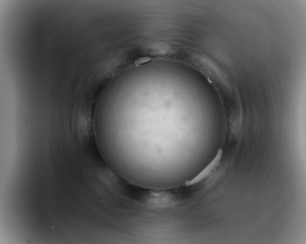X0000092220376200709141049