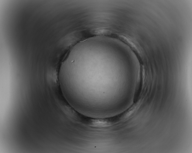 X0000092220380200709141049