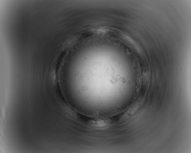 X0000092220381200709141049
