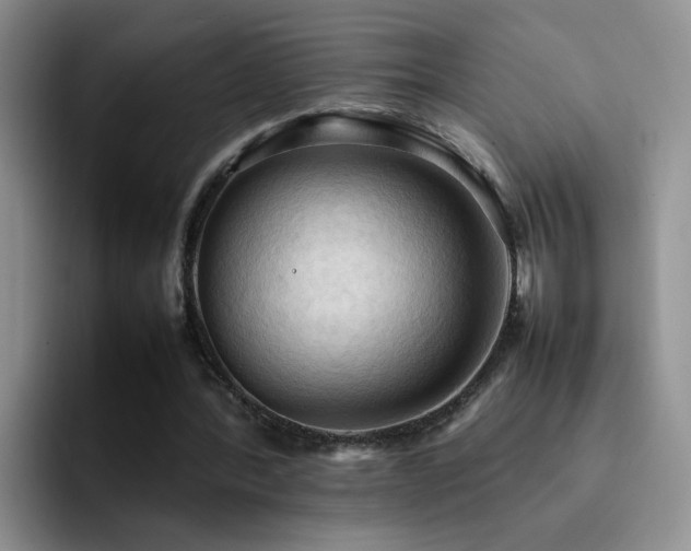 X0000092220388200709141048