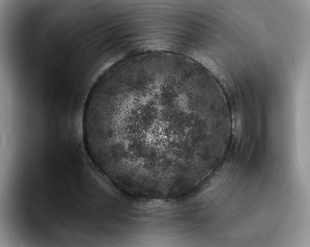 X0000092220390200709141048