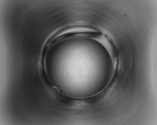 X0000092220392200709141048