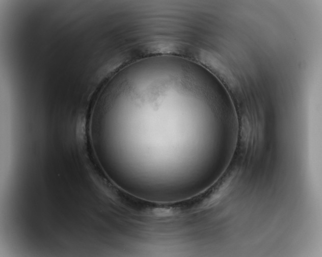 X0000092220394200709141048