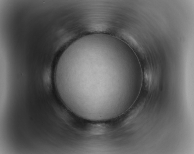 X0000092220396200709141048