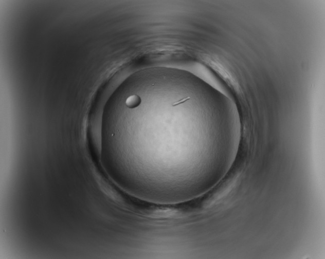 X0000092220397200709141048