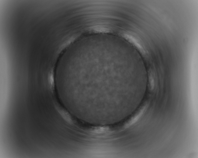 X0000092220398200709141048