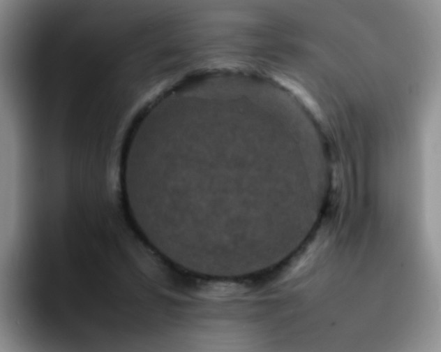 X0000092220399200709141048