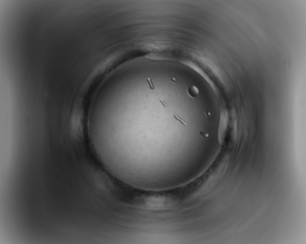 X0000092220400200709141048