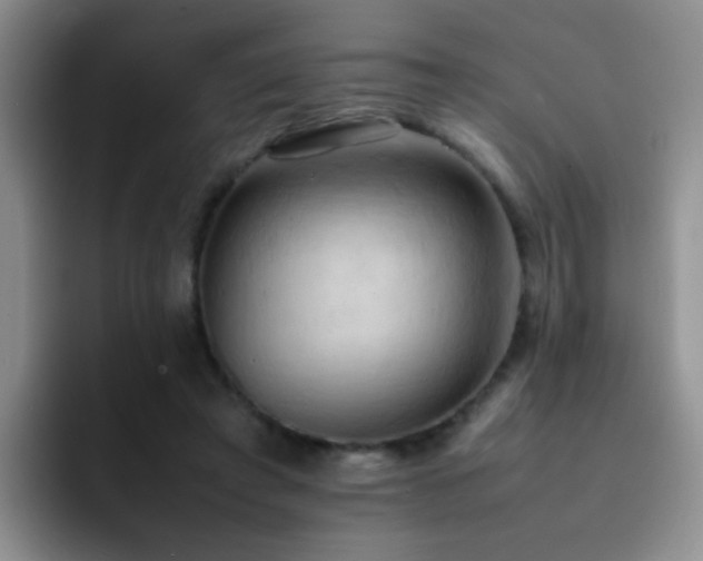 X0000092220401200709141048