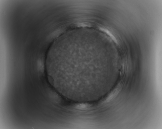 X0000092220402200709141048