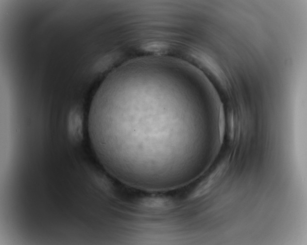 X0000092220404200709141048