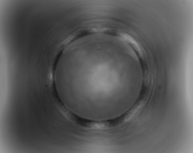 X0000092220405200709141048