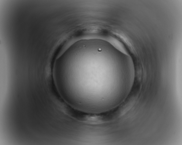 X0000092220407200709141048