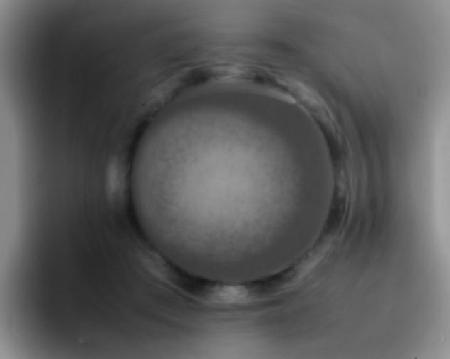 X0000092220409200709141048