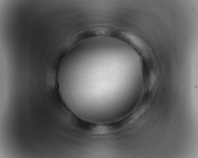 X0000092220413200709141048