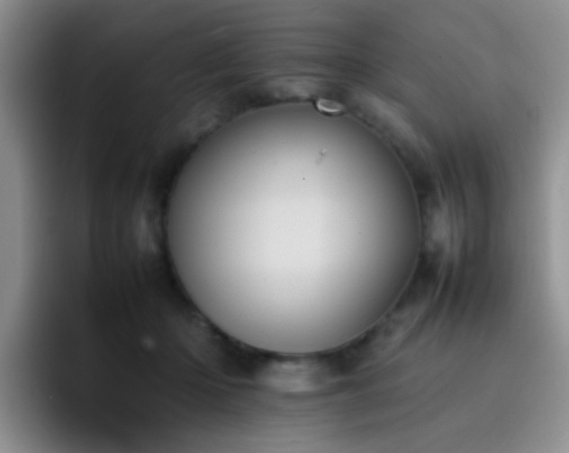 X0000092220414200709141048