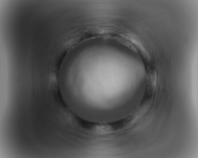 X0000092220415200709141048