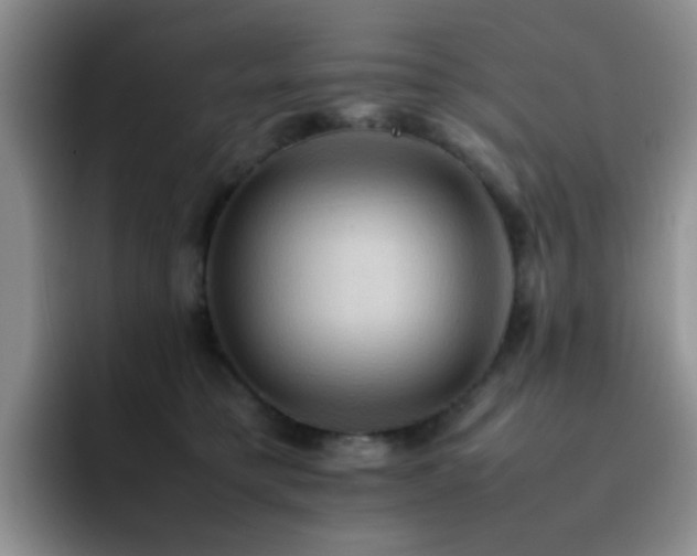 X0000092220421200709141048