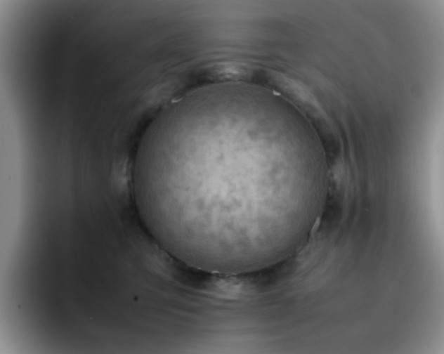X0000092220423200709141048
