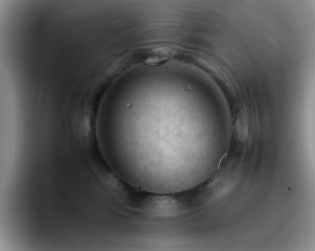 X0000092220424200709141048