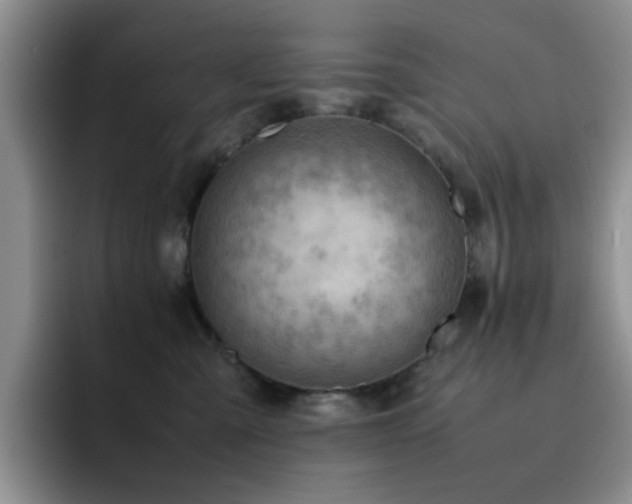 X0000092220427200709141048