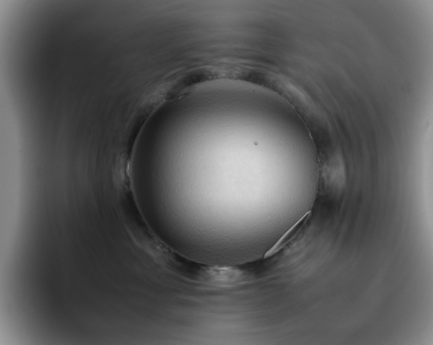 X0000092220429200709141048