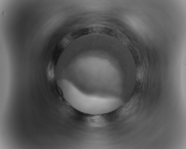 X0000092220431200709141048